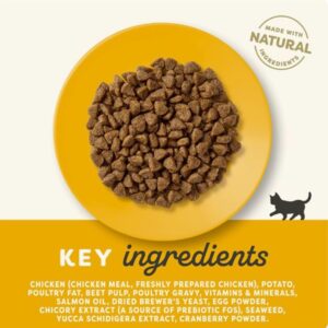 Alternative view of Applaws Kitten Chicken Dry Cat Food