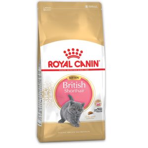 Royal Canin British Shorthair Dry Kitten Food
