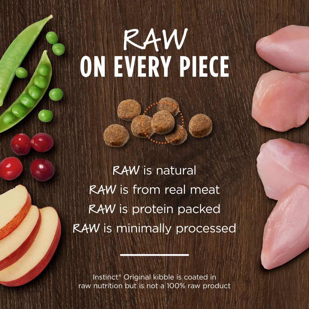 Instinct Original Real Rabbit Grain-Free Dry Cat Food - Image 3