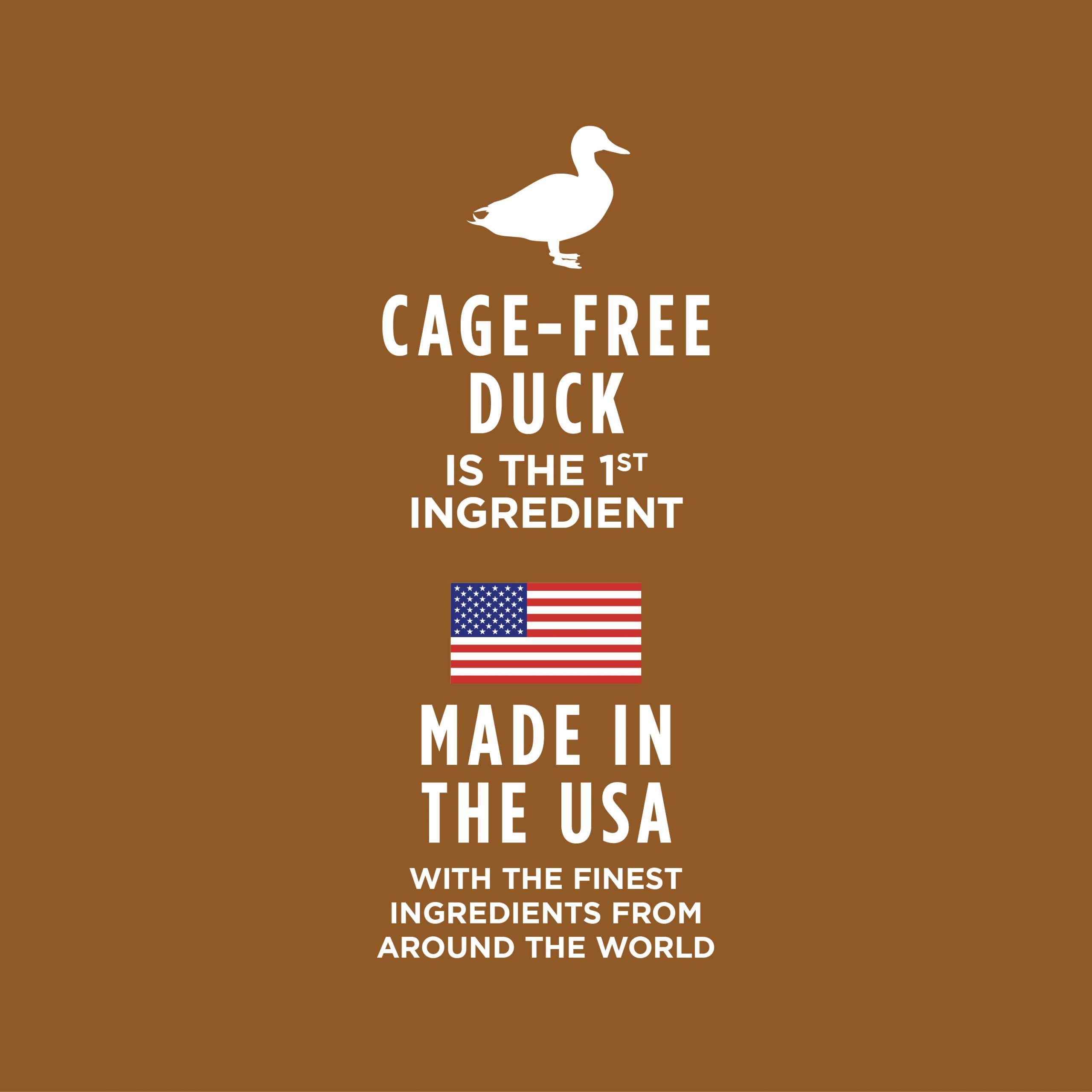 طعام القطط الرطب الخالي من الحبوب بنكهة البط الحقيقي من إنستينكت هيلثي كريفينجز، 85 غرام - الصورة 5