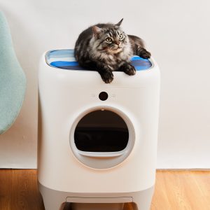 Alternative view of PetKit Pura X Cat Cooling Pad