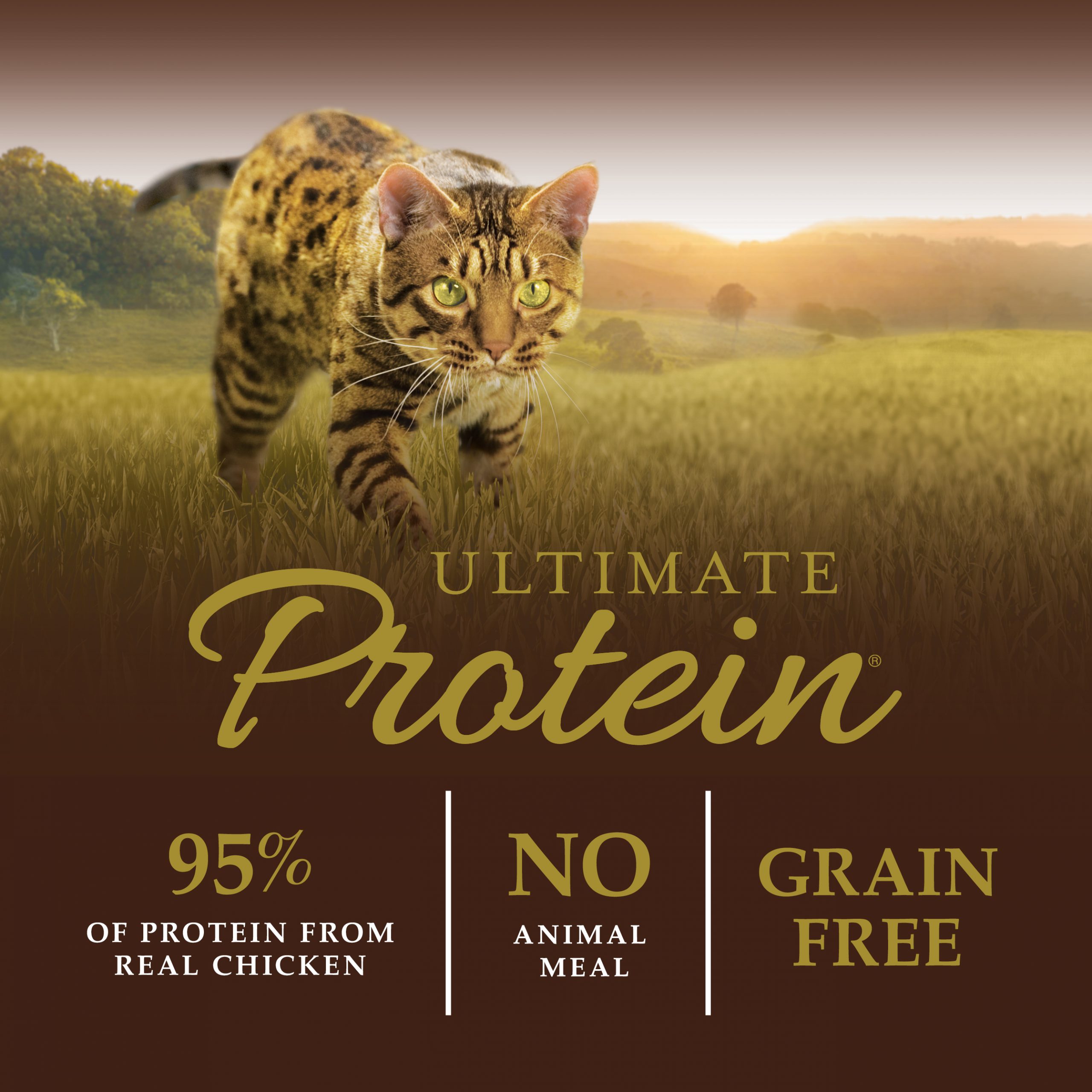 Instinct Ultimate Protein Chicken Grain-Free Dry Cat Food - Image 3