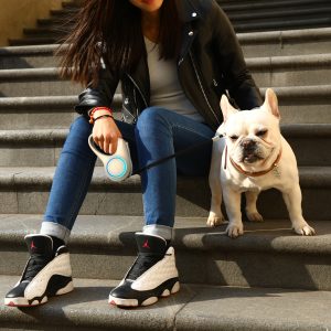 Alternative view of Walk a Dog Bundle