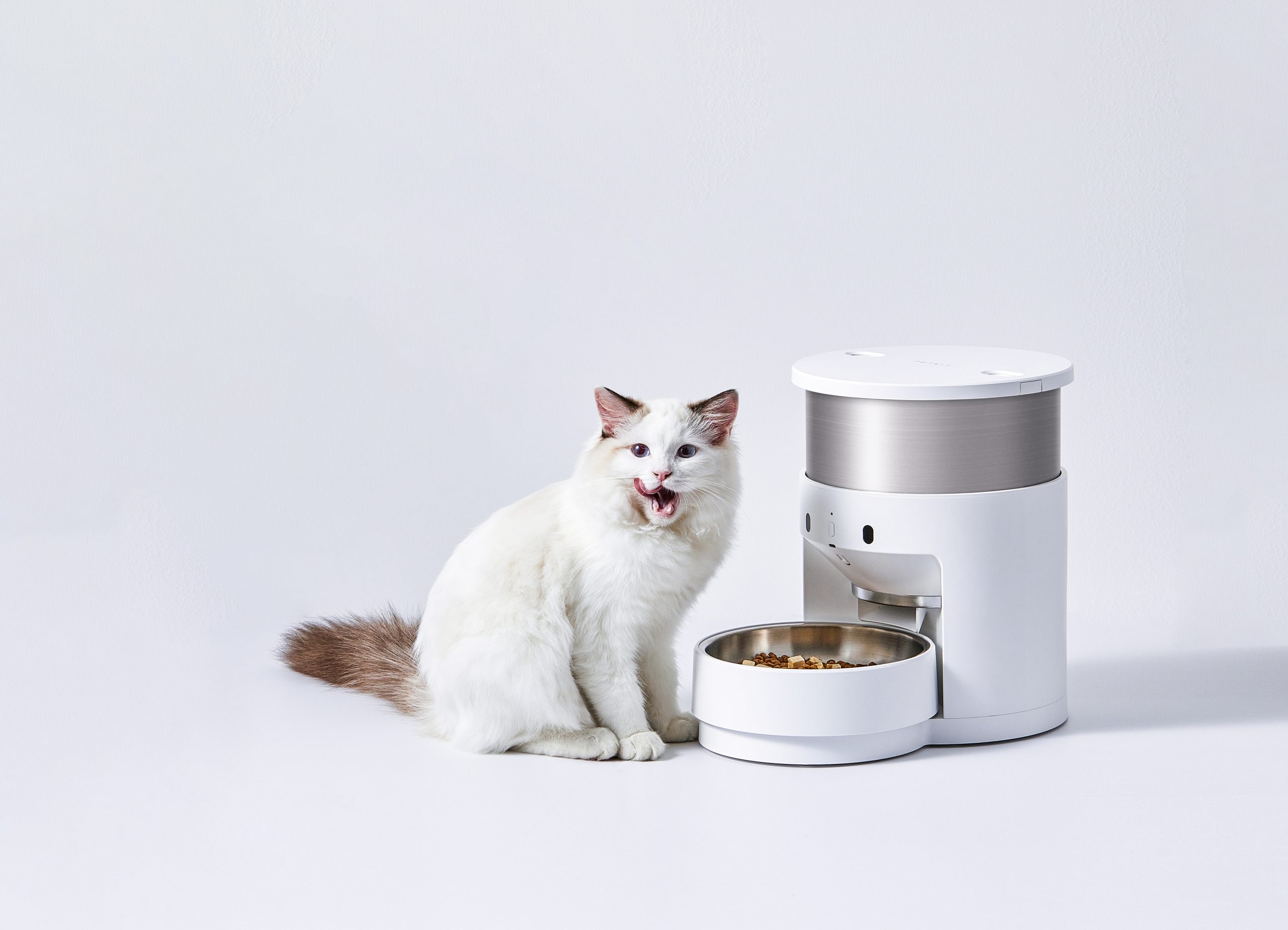 PetKit Fresh Element 3 SmartPet Feeder - Image 3