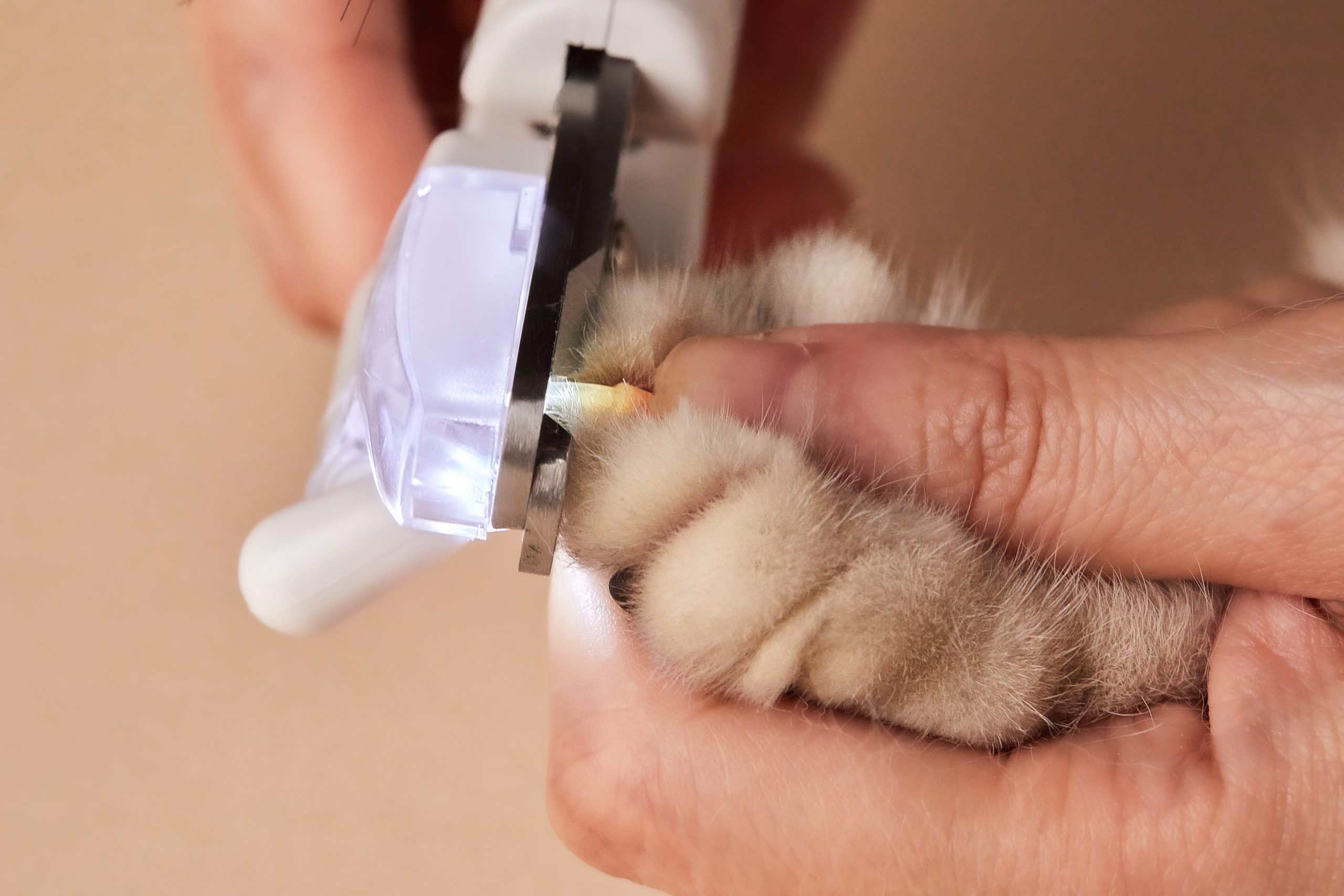 PetKit LED Pet Nail Clipper - Image 4