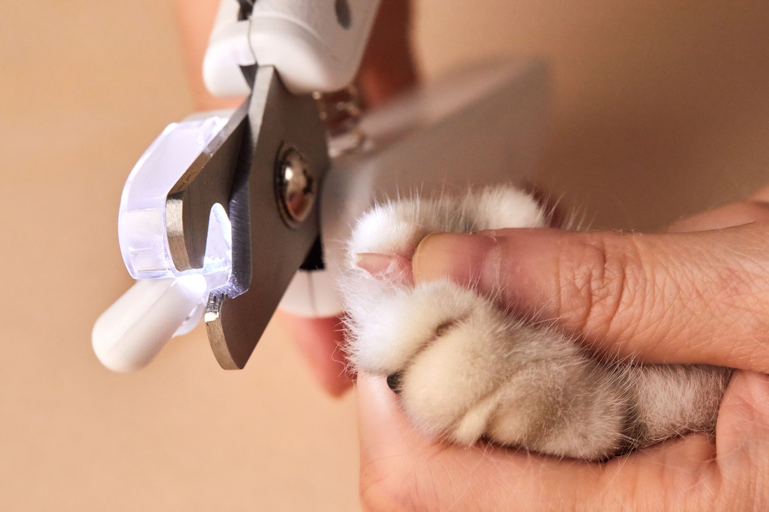 PetKit LED Pet Nail Clipper - Image 3