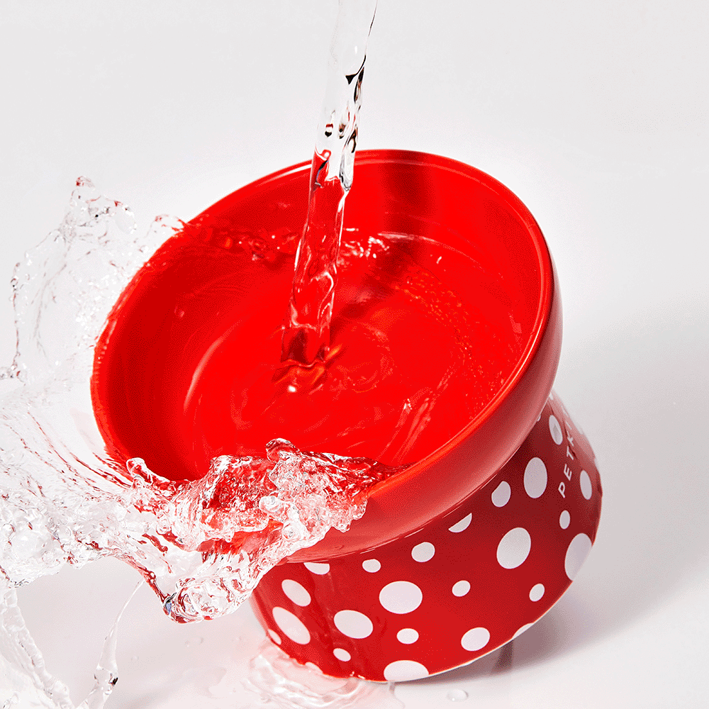 PetKit Polka Dot Ceramic Bowl - Image 7