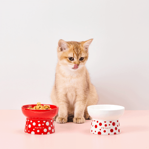 Alternative view of PetKit Polka Dot Ceramic Bowl