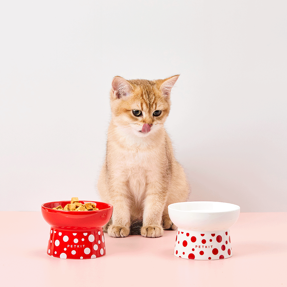 PetKit Polka Dot Ceramic Bowl - Image 2