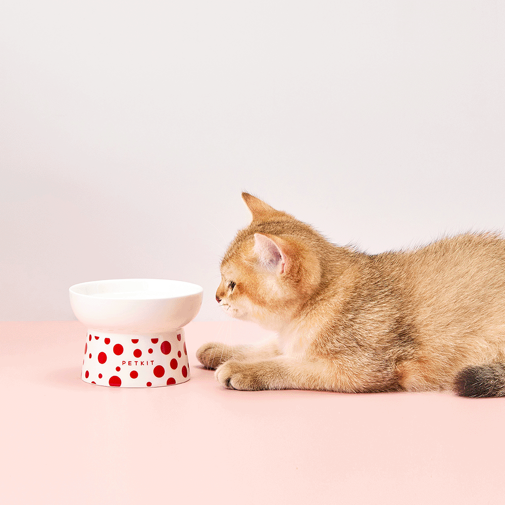 PetKit Polka Dot Ceramic Bowl - Image 4