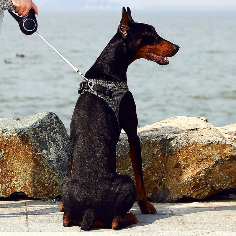 PetKit Air Fly Dog Harness - Image 7