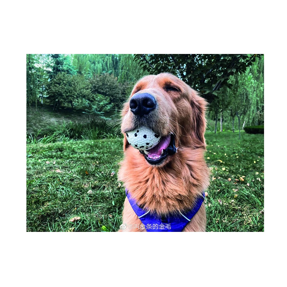 M-Pets Bloom Ball, White & Black - Image 2