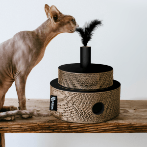 District 70 FIESTA, Black