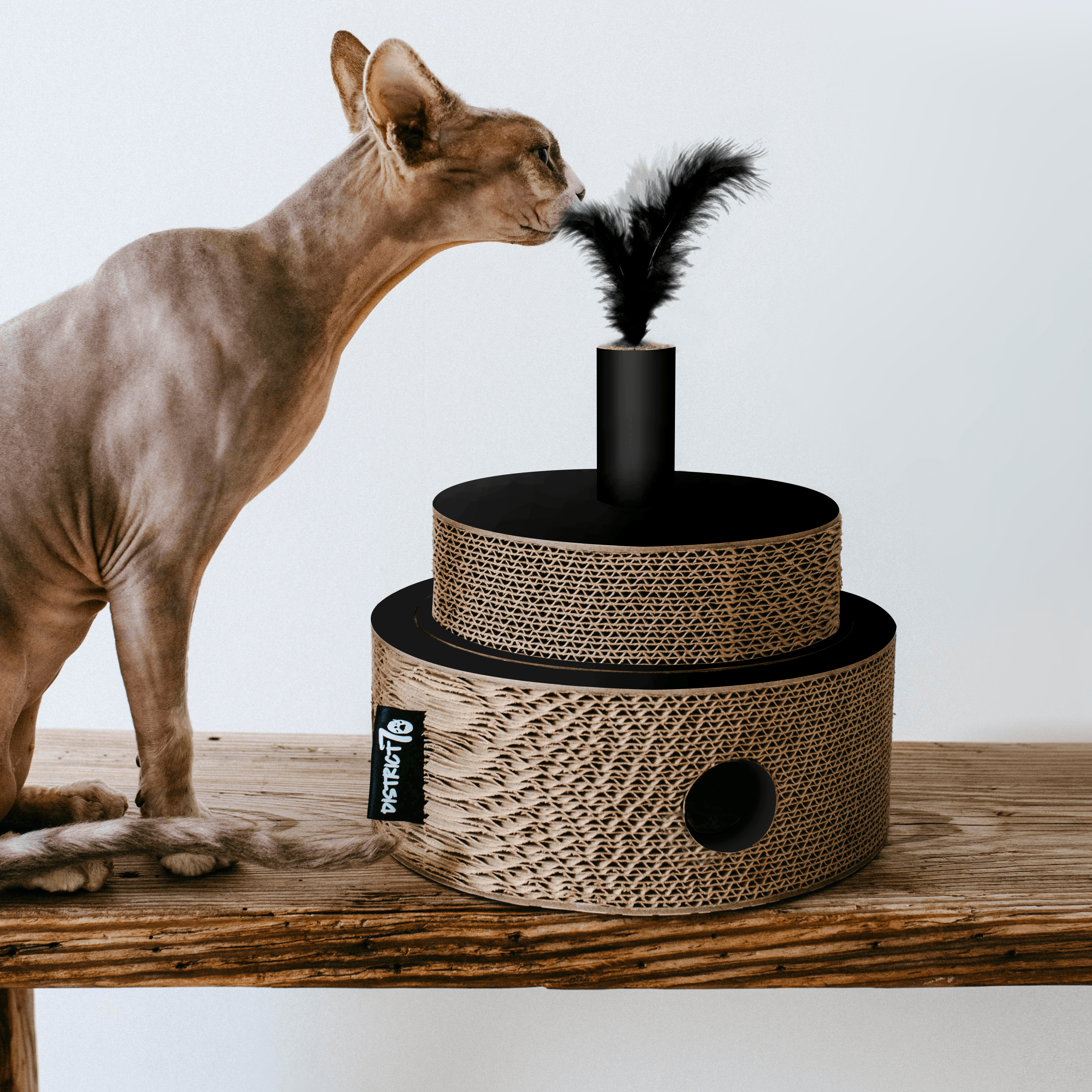 District 70 FIESTA, Black