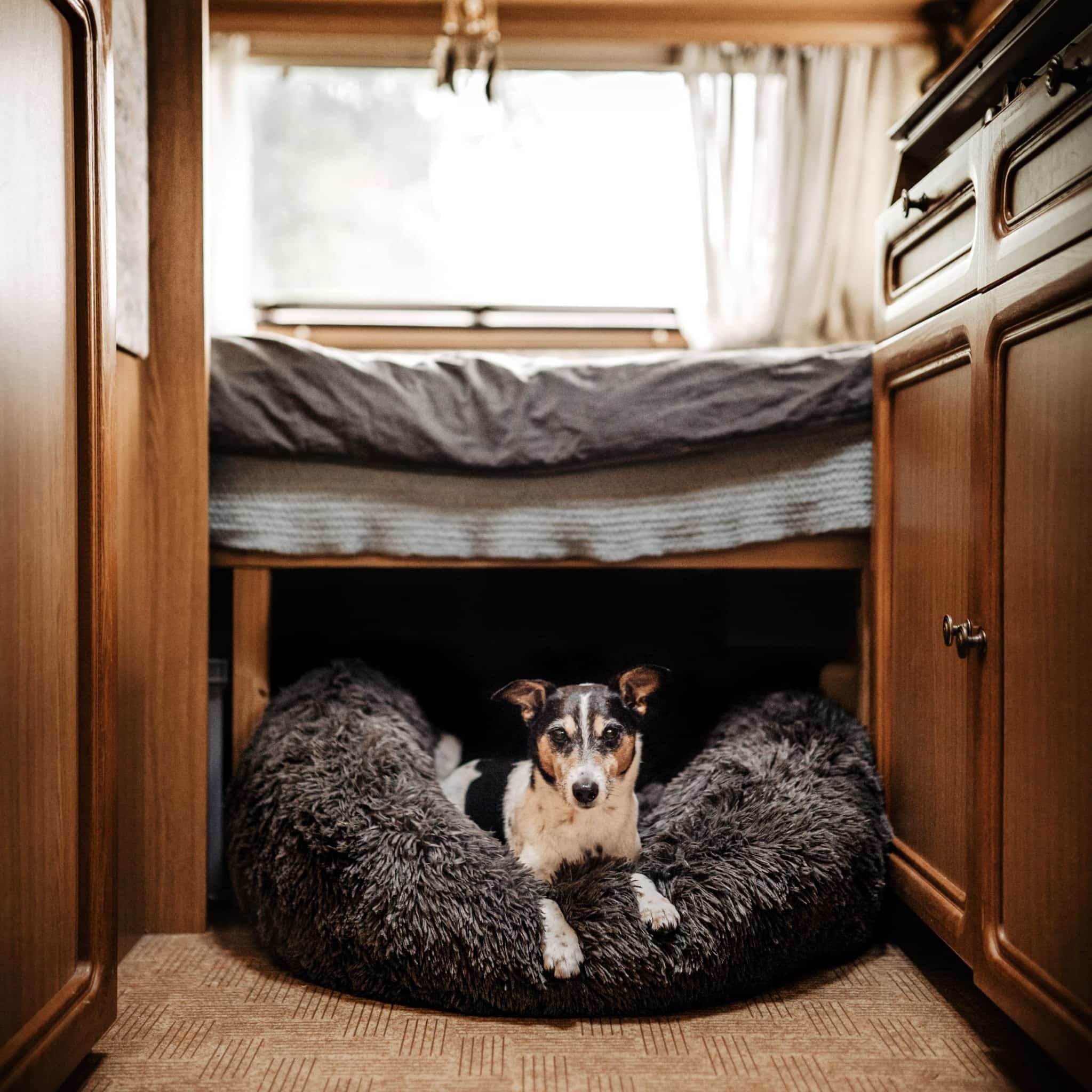 District 70 FUZZ Fluffy Donut Bed, Light Grey - Image 3