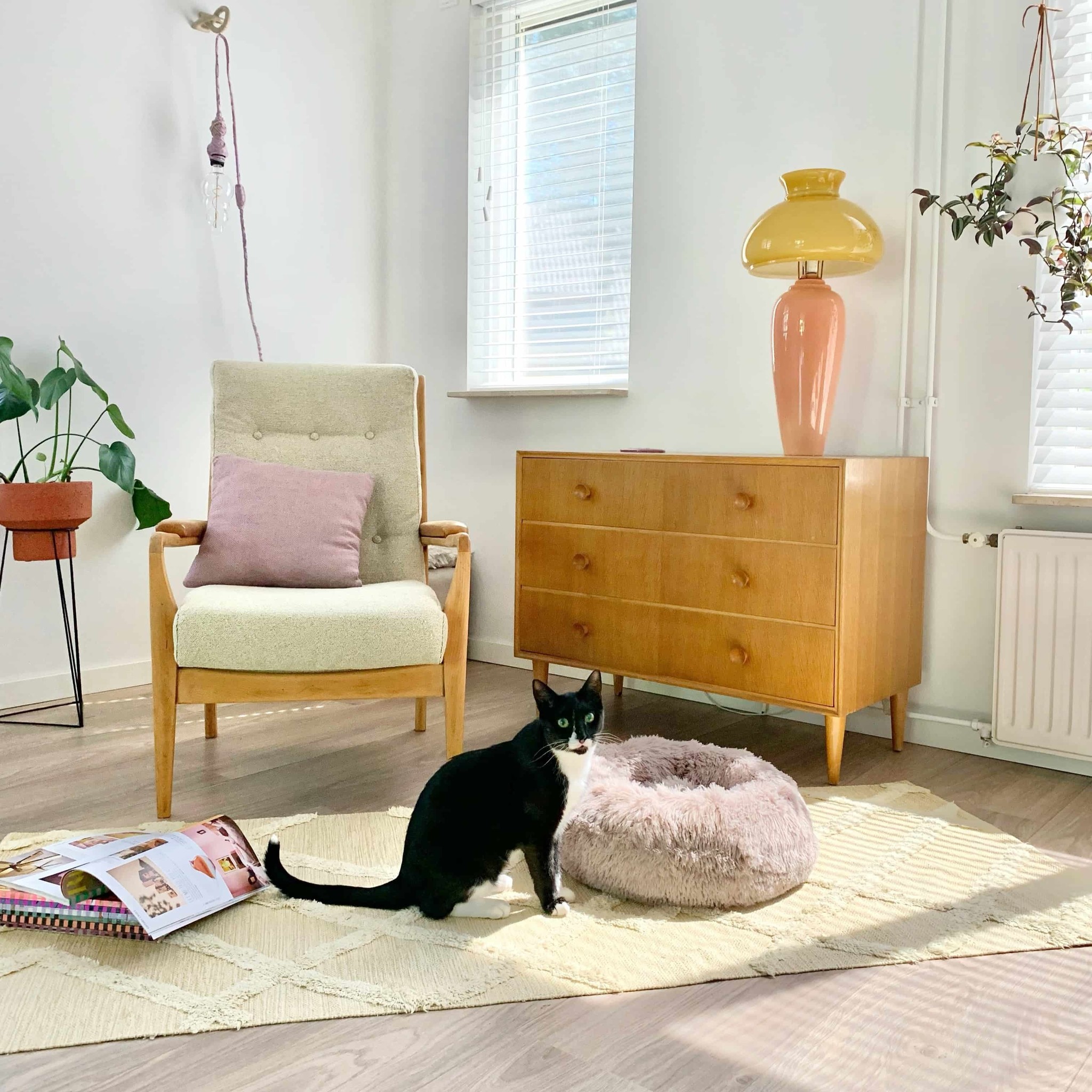 District 70 FUZZ Fluffy Donut Bed, Light Grey - Image 4