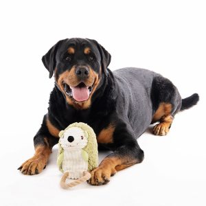 Alternative view of M-Pets Leif Eco Dog Toy