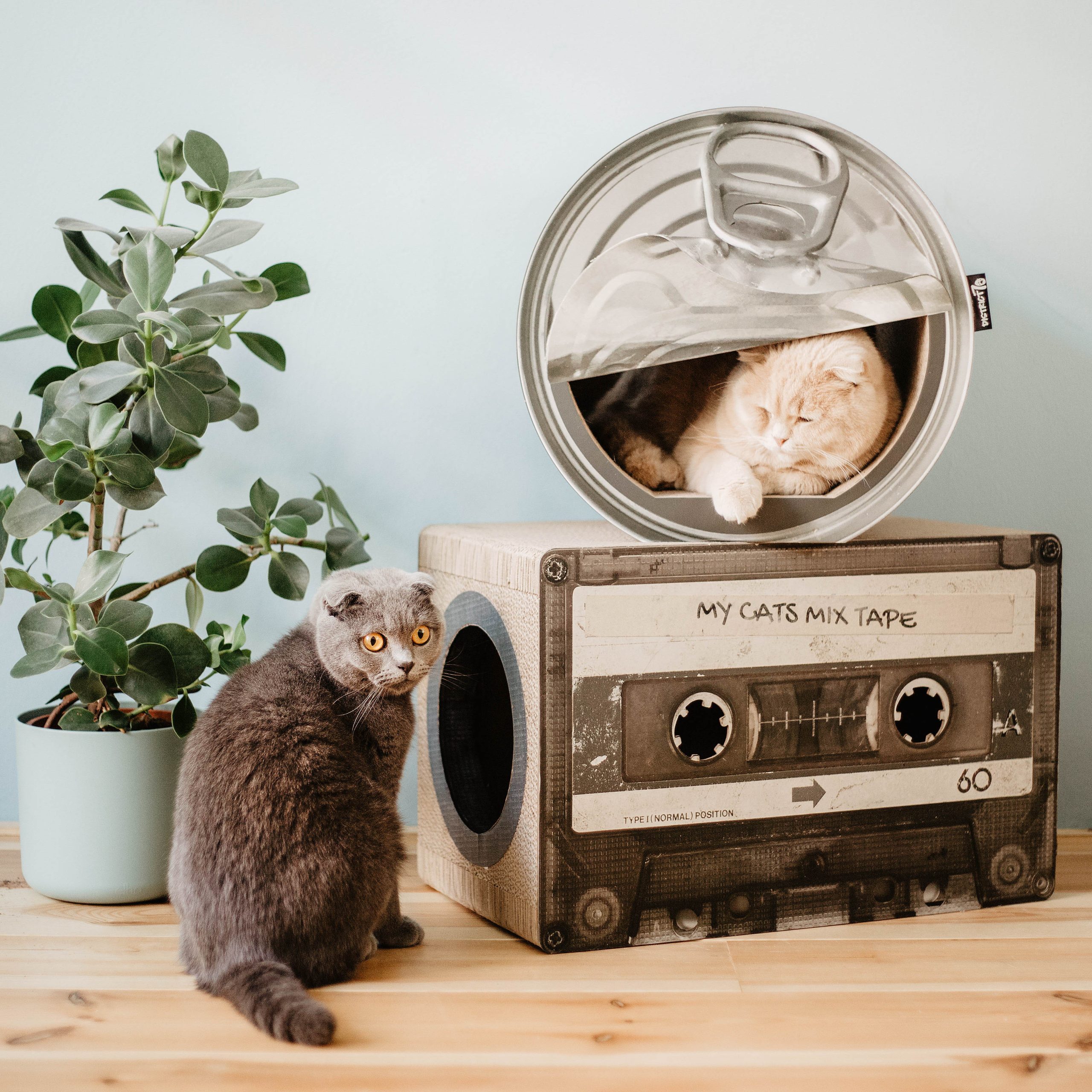 District 70 MIXTAPE, Retro Cardboard Cat Scratcher - Image 4