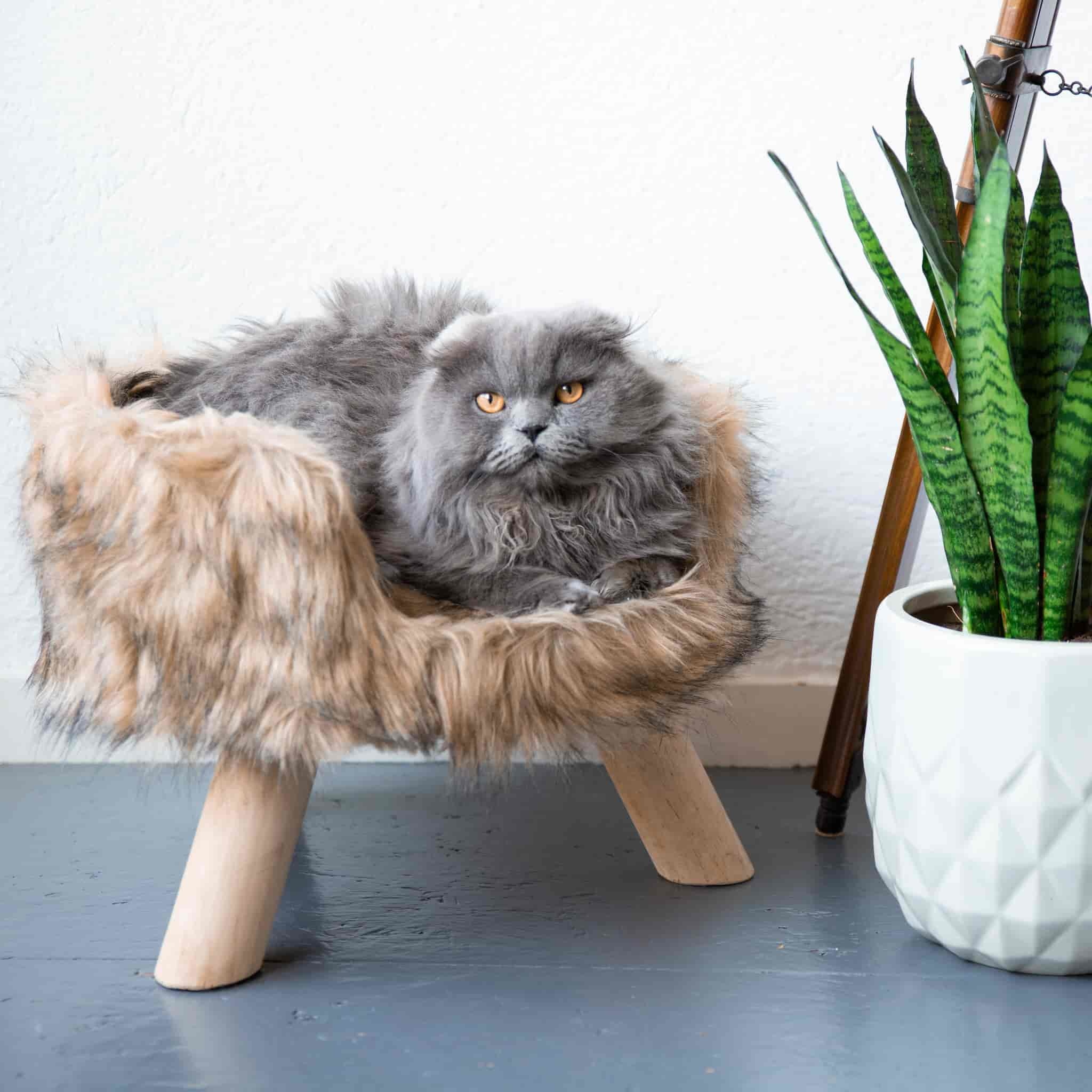 District 70 NORDIC, Scandinavian Cat Bed