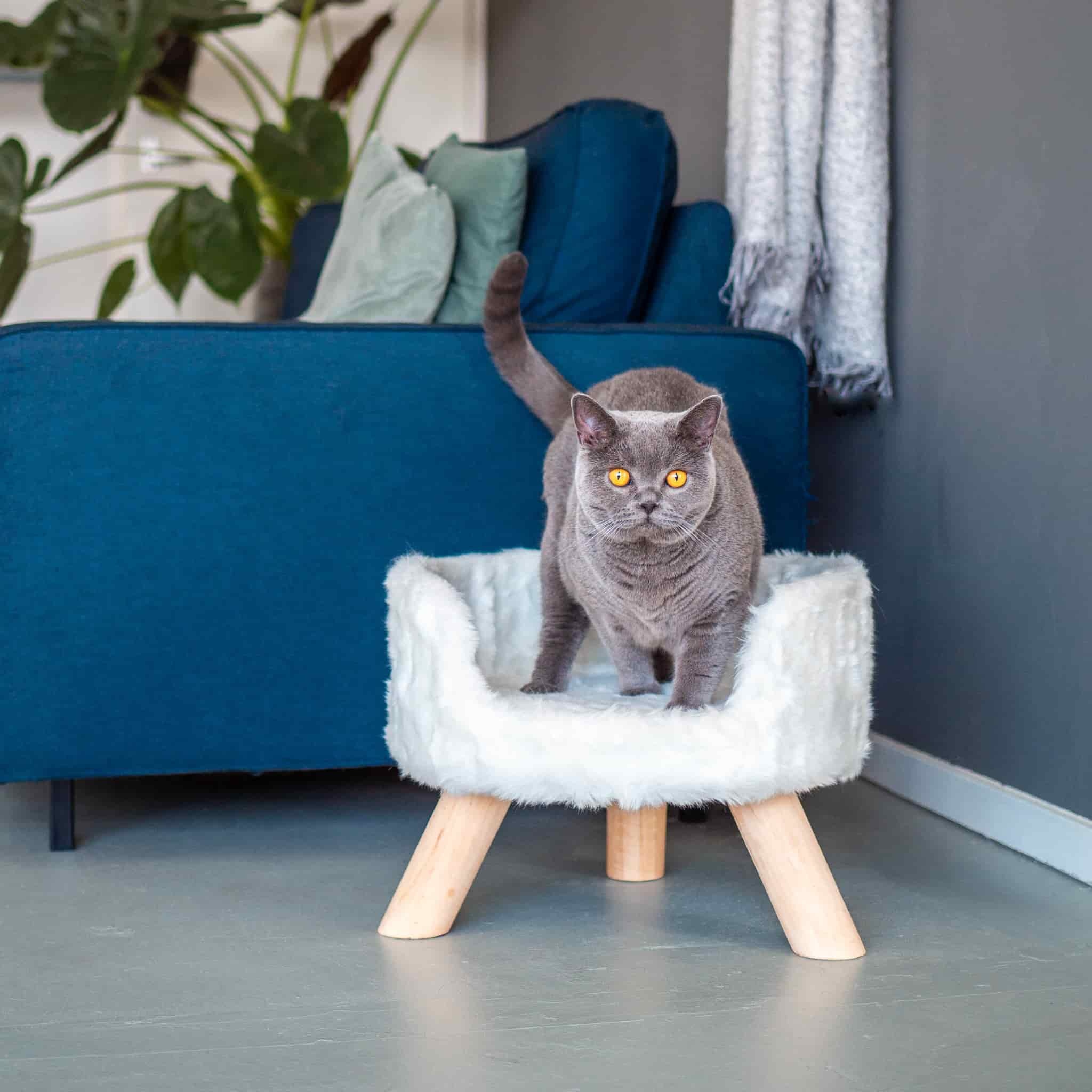 District 70 NORDIC, Scandinavian Cat Bed - Image 3