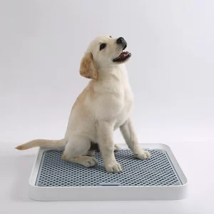 PetKit Pura Dog Training Pee Tray