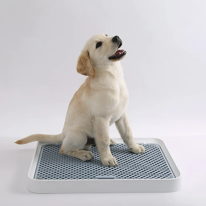 PetKit Pura Dog Training Pee Tray