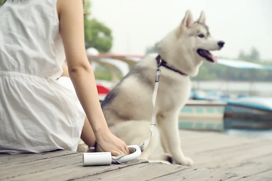 PetKit Dog Waste Bag Dispenser - Image 2