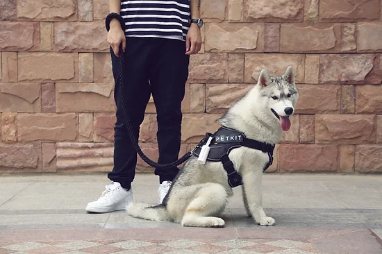 PetKit Dog Waste Bag Dispenser - Image 6