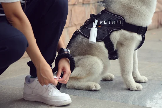 PetKit Dog Waste Bag Dispenser - Image 7