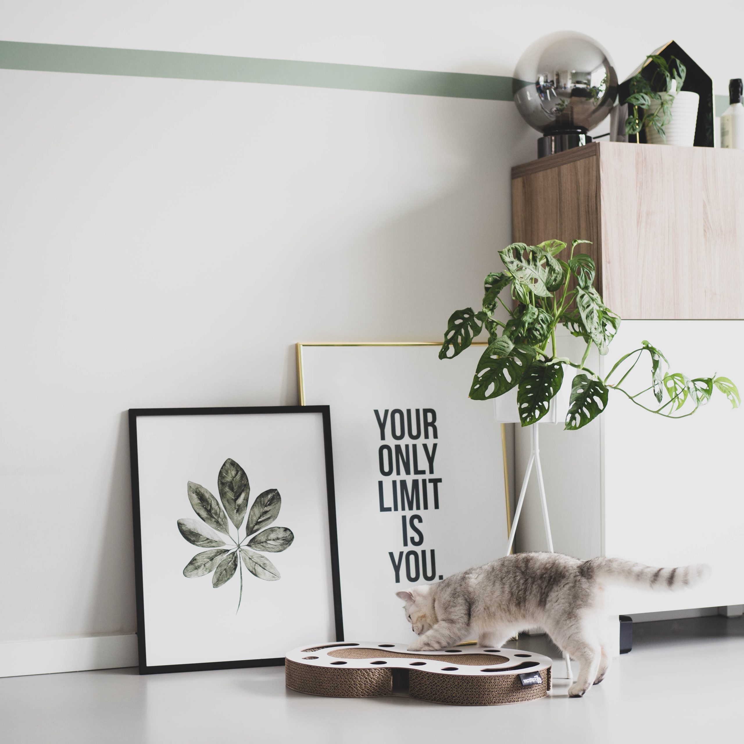 District 70 SNAKE Multifunctional Cat Toy, White - Image 2