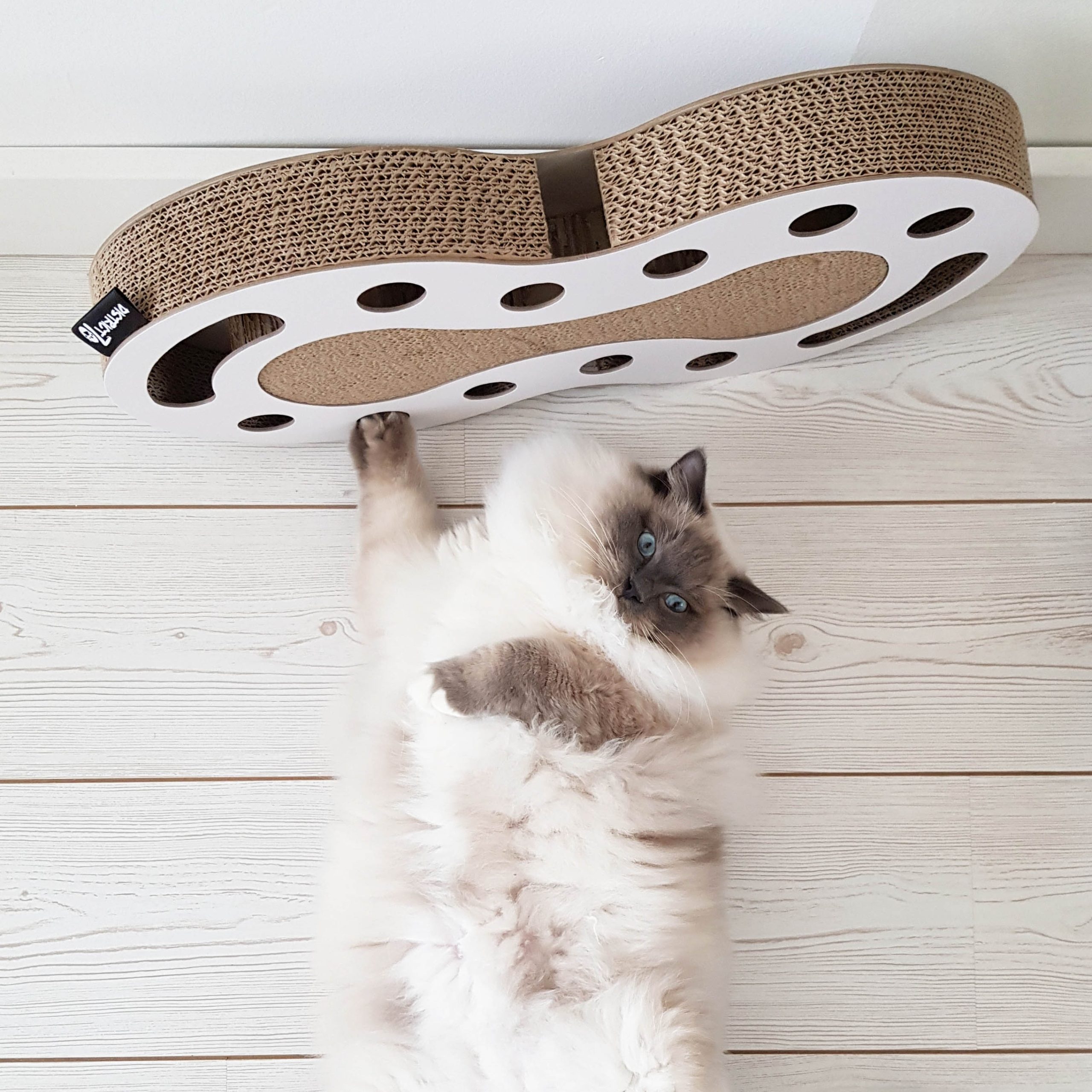 District 70 SNAKE Multifunctional Cat Toy, White - Image 3