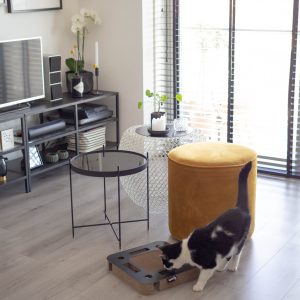 Alternative view of District 70 SPY Multifunctional Cat Toy, Black