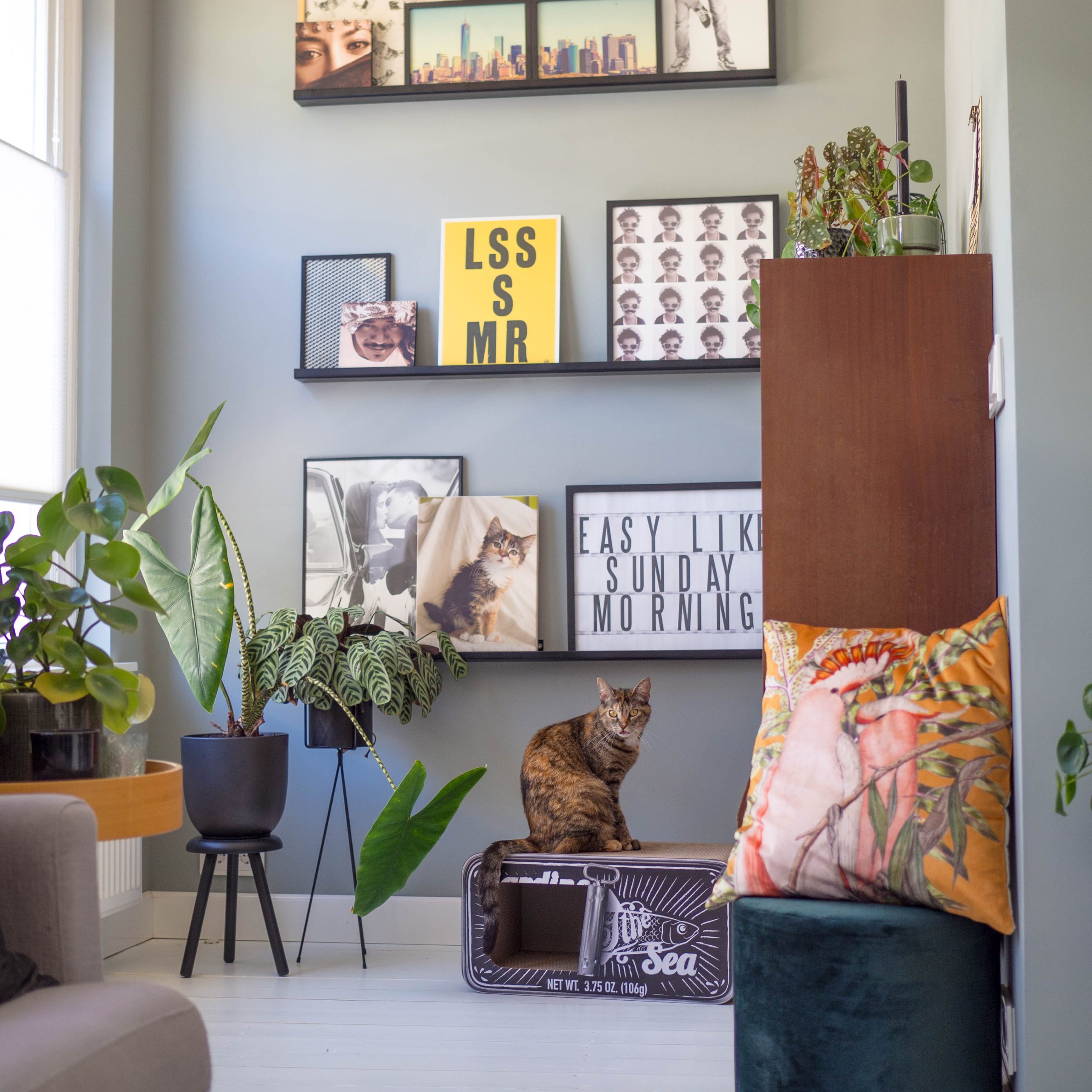 District 70 Sardine, Black - Image 4