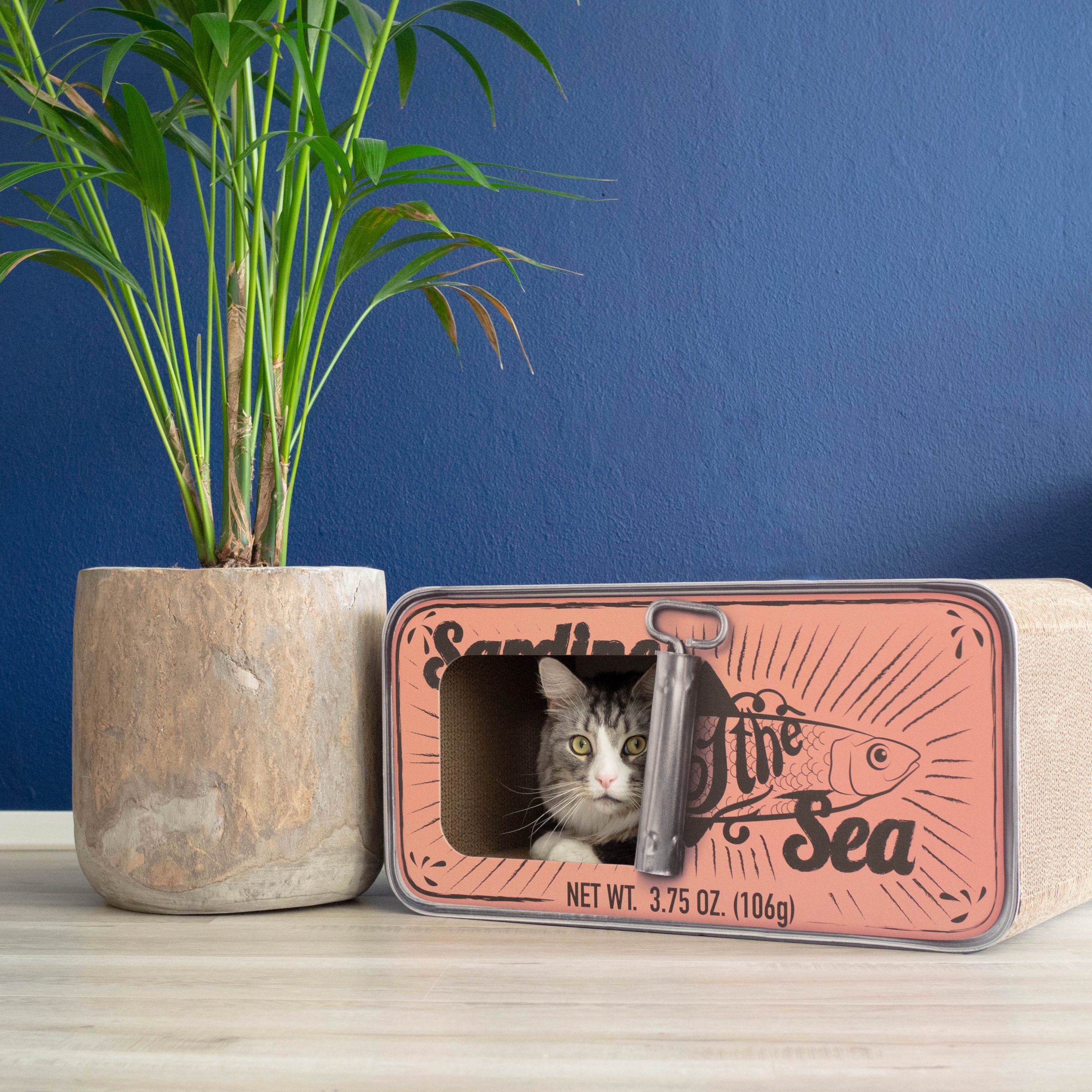 District 70 Sardine, Pink - Image 3