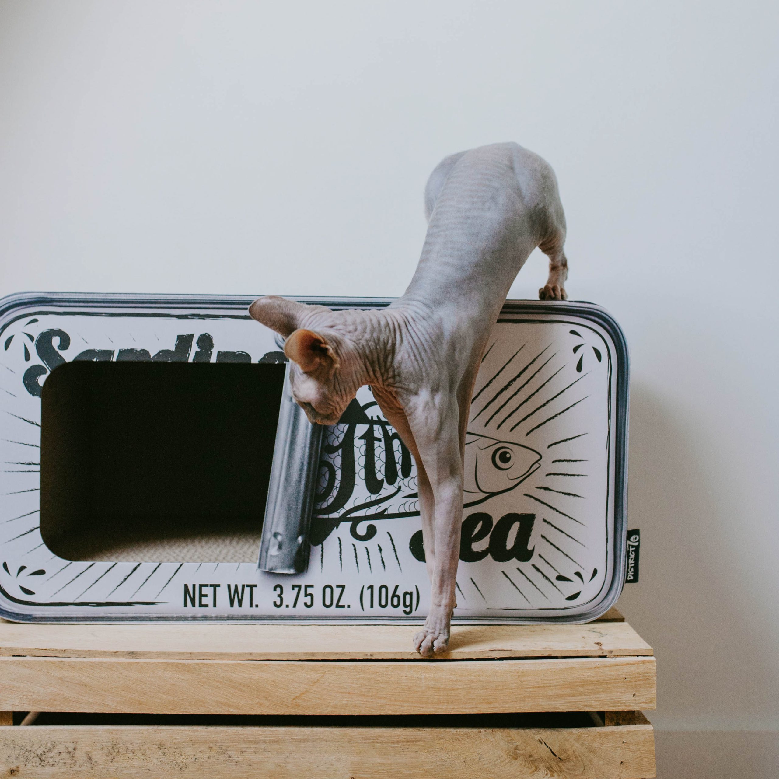 District 70 Sardine, White - Image 3