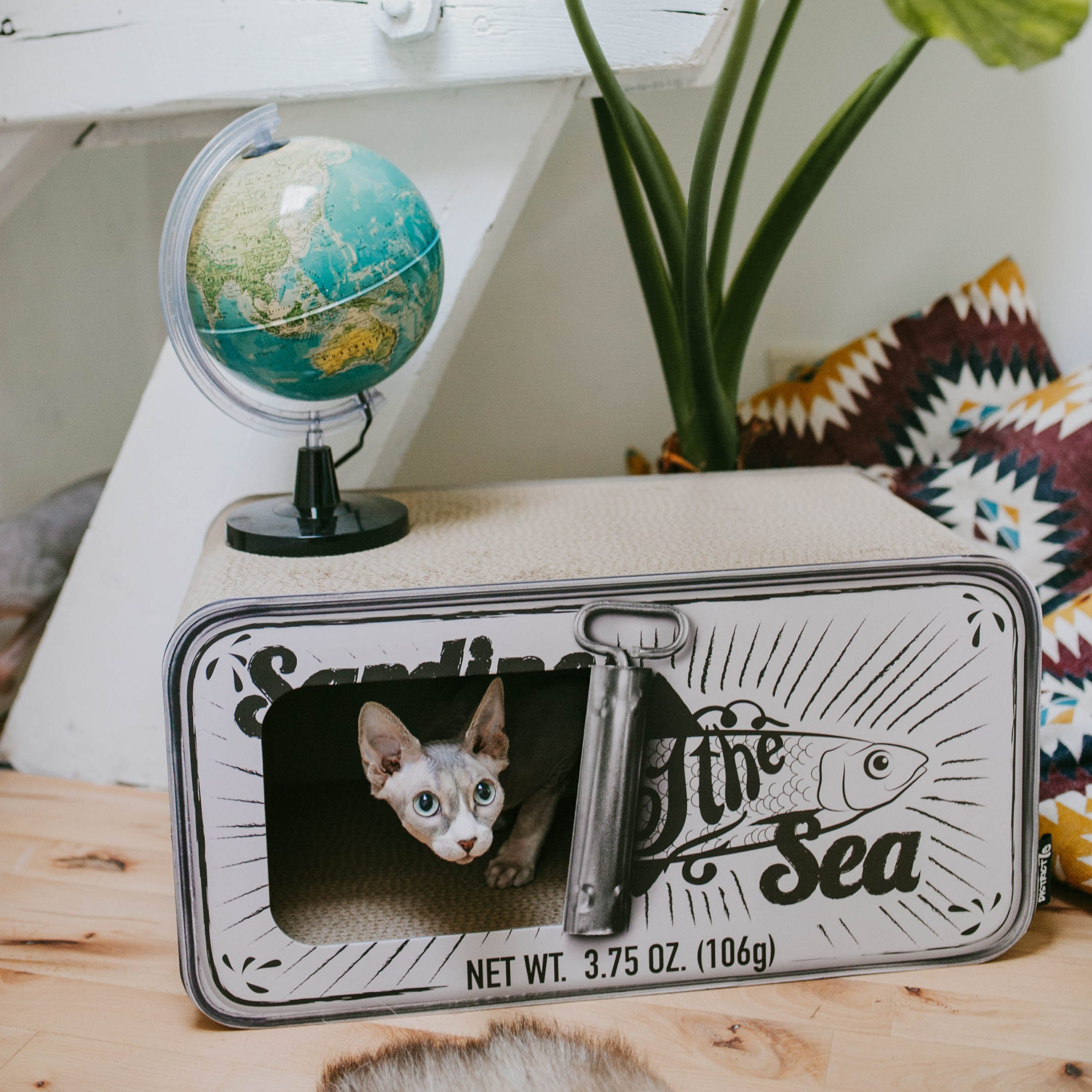 District 70 Sardine, White - Image 2