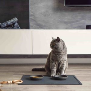 Alternative view of District 70 SERVE