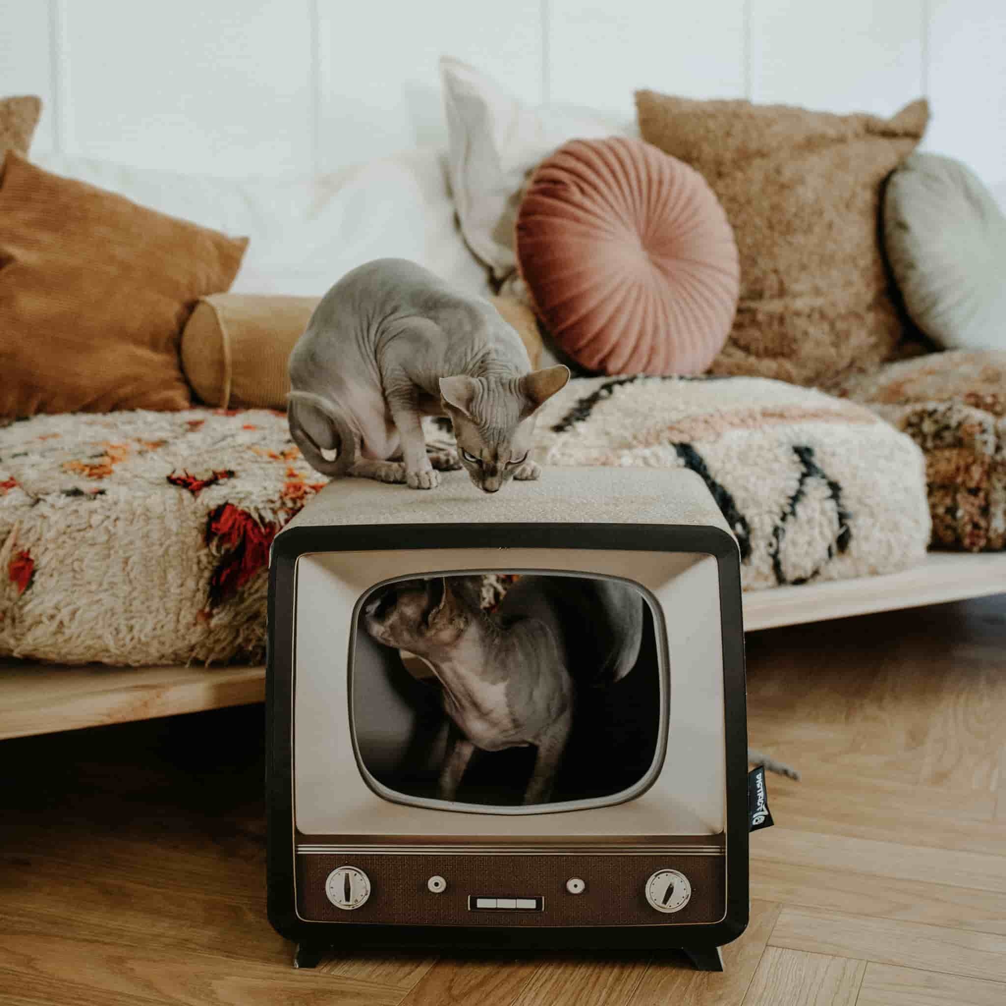 District 70 Telly, Retro Design Cat Scratcher - Image 4