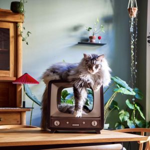Alternative view of District 70 Telly, Retro Design Cat Scratcher