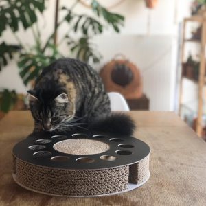 District 70 WHIRL Multifunctional Cat Toy, Black