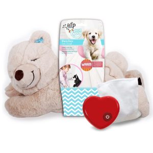 AFP LITTLE BUDDY Warm Bear Dog Toy