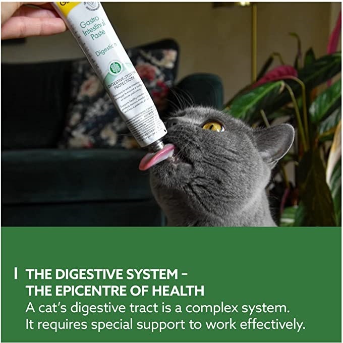 Gimcat Gastro Intestinal Cat Paste, 50g - Image 3