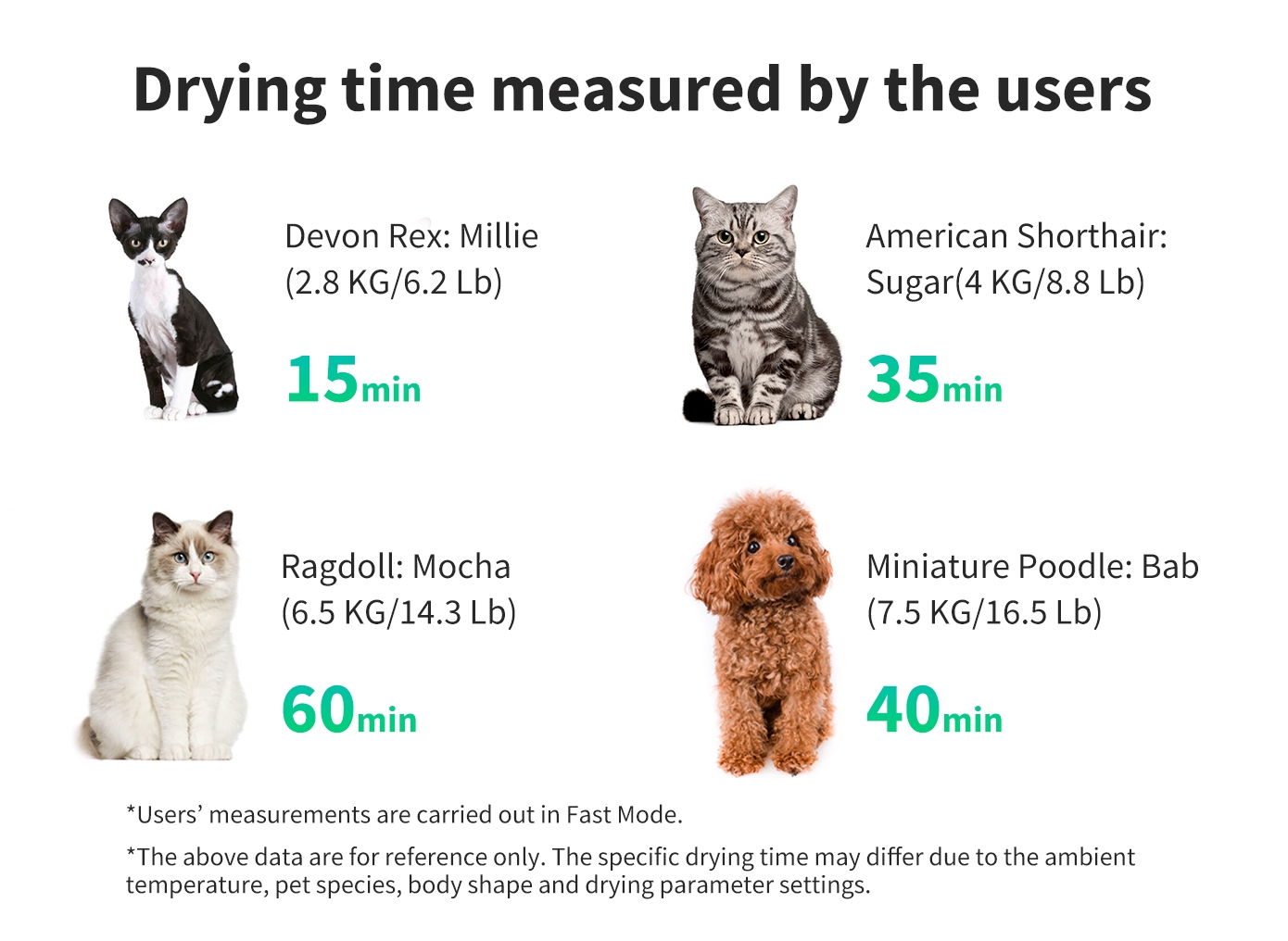 PetKit Pet Dryer Air Salon MAX - Image 2