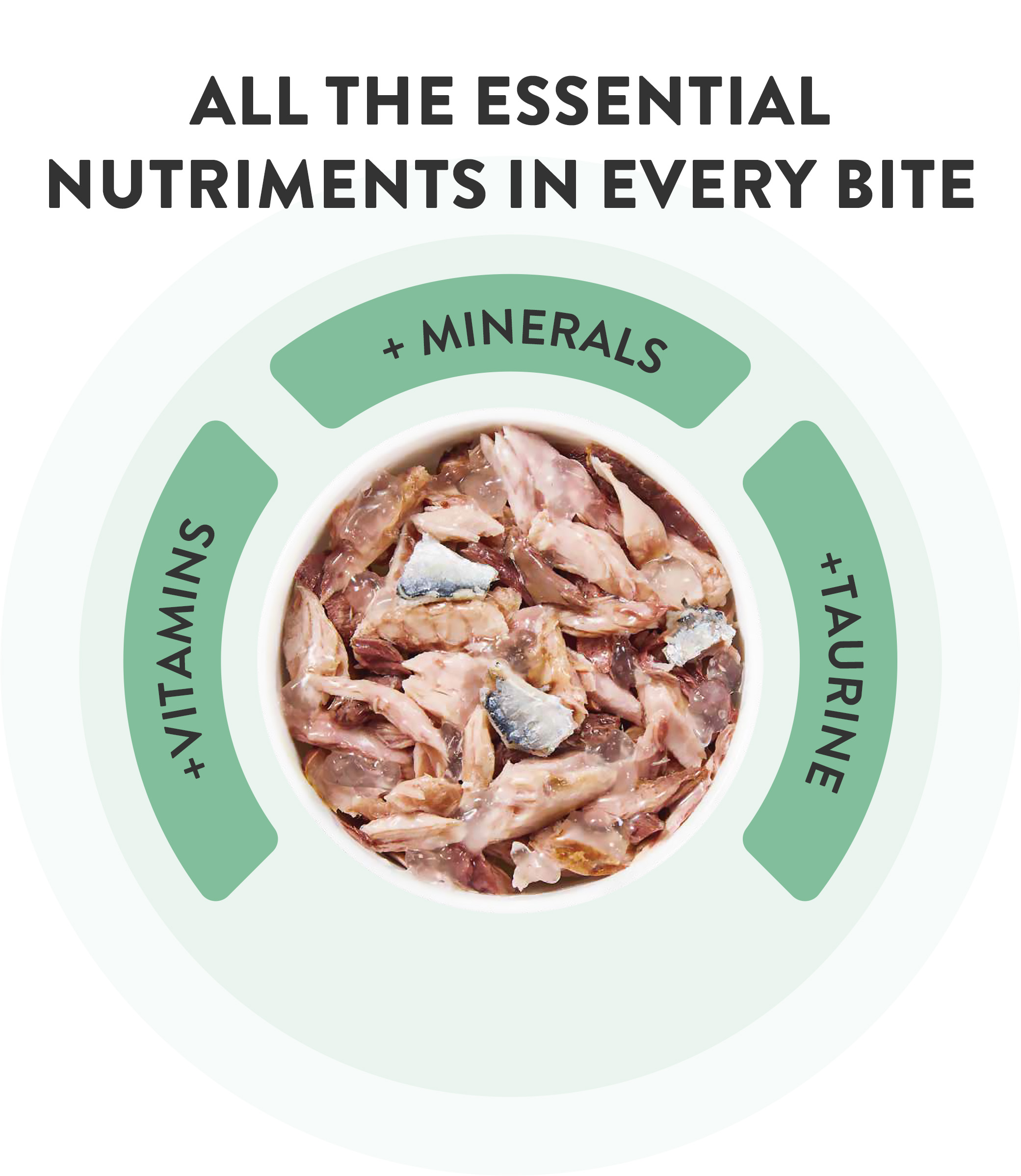 Schesir Complete Nutrition Tuna with Shrimp in Jelly Wet Cat Food, 85g - Image 6