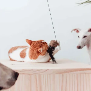 Alternative view of District 70 BAIT Natural Wood Wand Cat Toy, Black