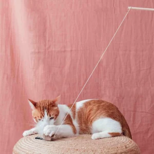 Alternative view of District 70 SMASH Natural Wood Wand Cat Toy, Black