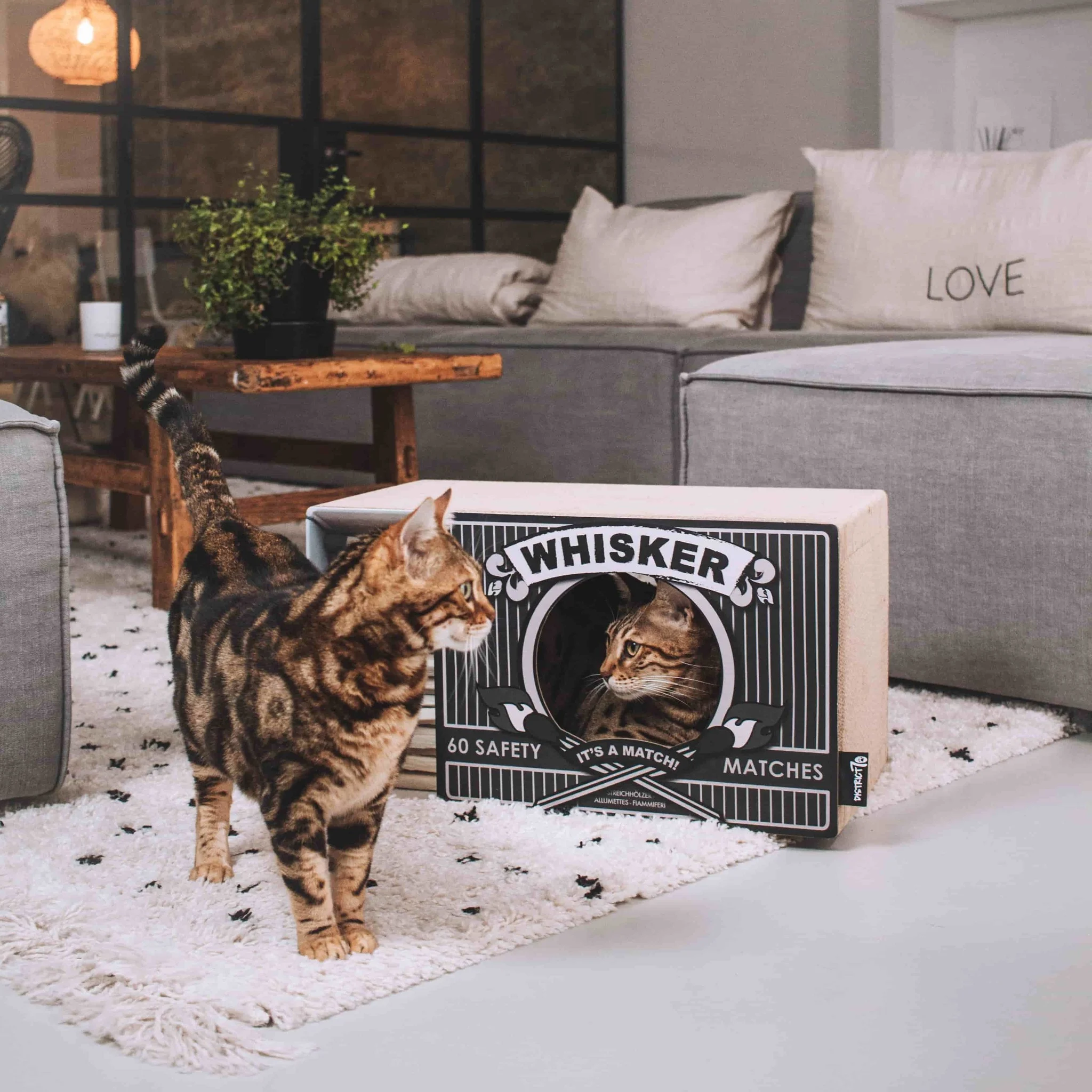 District 70 WHISKER, Black - Image 3