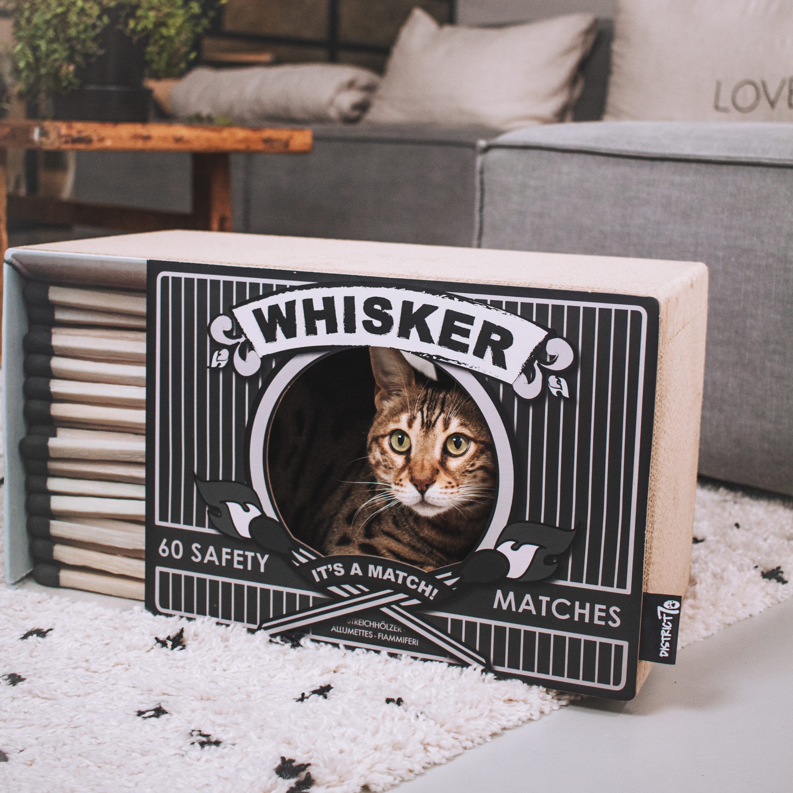 District 70 WHISKER, Black