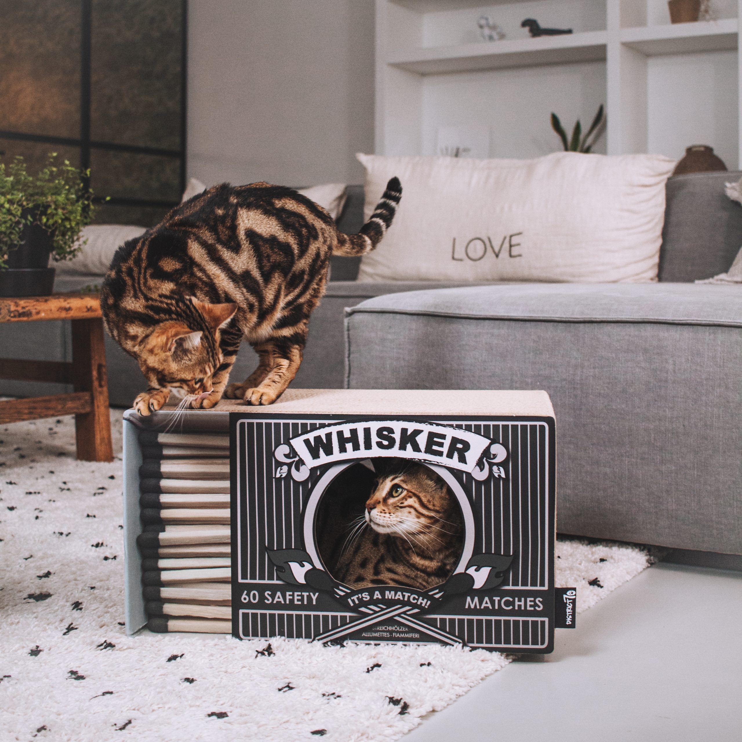 District 70 WHISKER, Black - Image 4