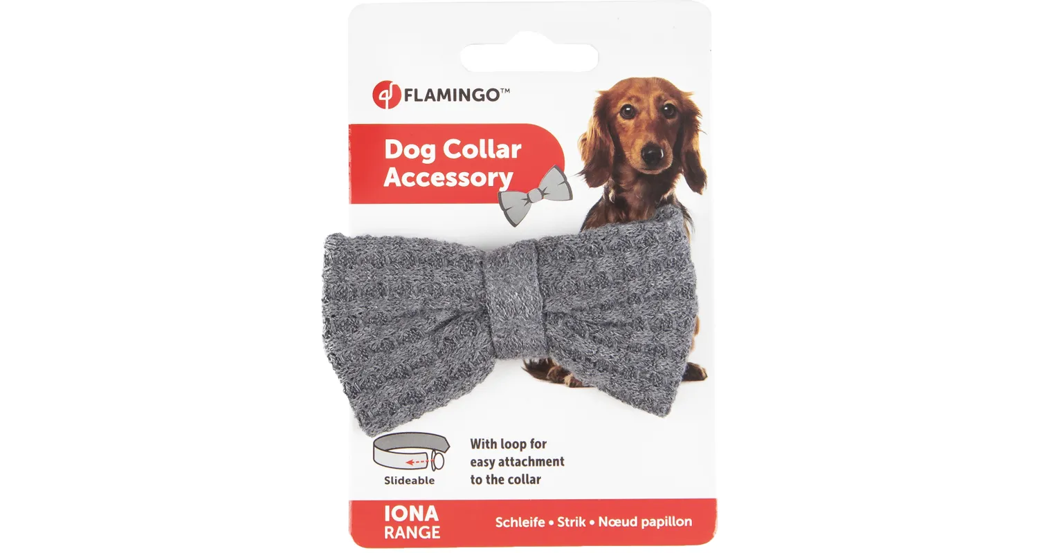 Flamingo Iona Anthracite Grey Dog Bow Tie - Image 2